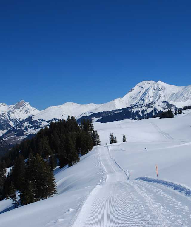 Winterwanderwege am Rand des Skigebiets Lenk-Betelberg