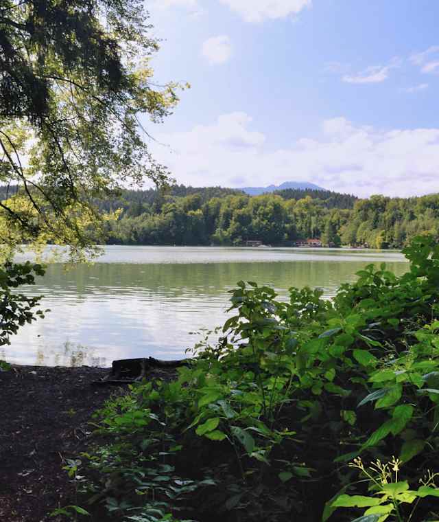 Tüttenseerundweg