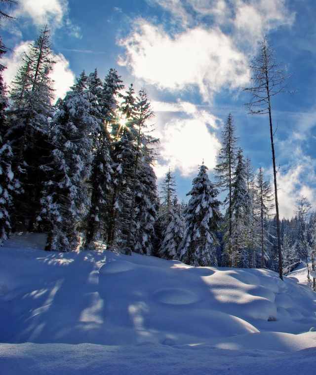 Wandern am Güterweg in Mühlbach am Hochkönig.