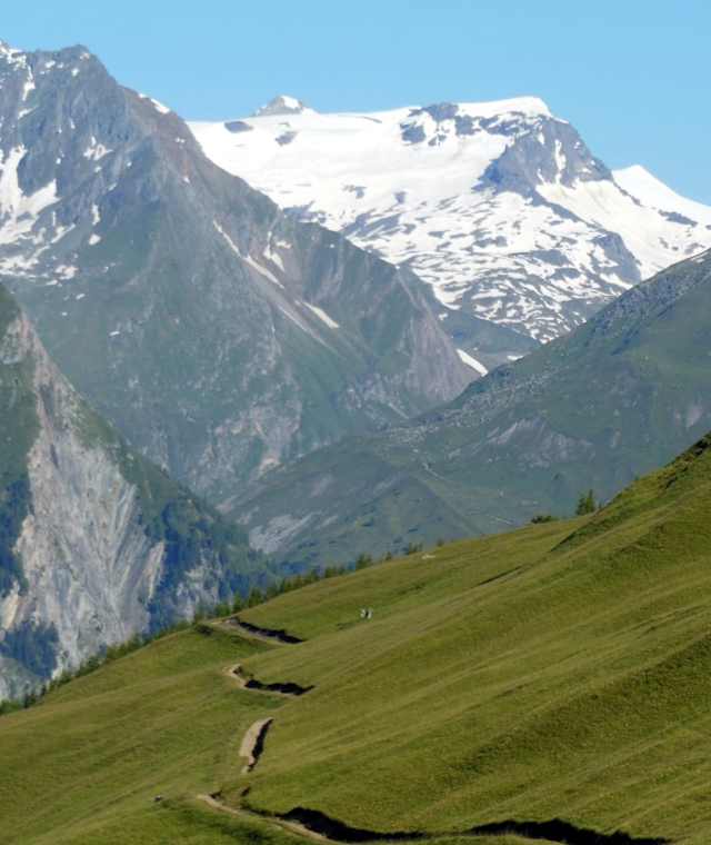 Durch die Bergwiesen