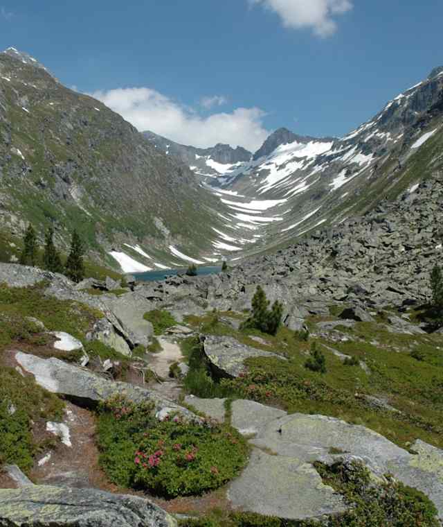 Dorfer See
