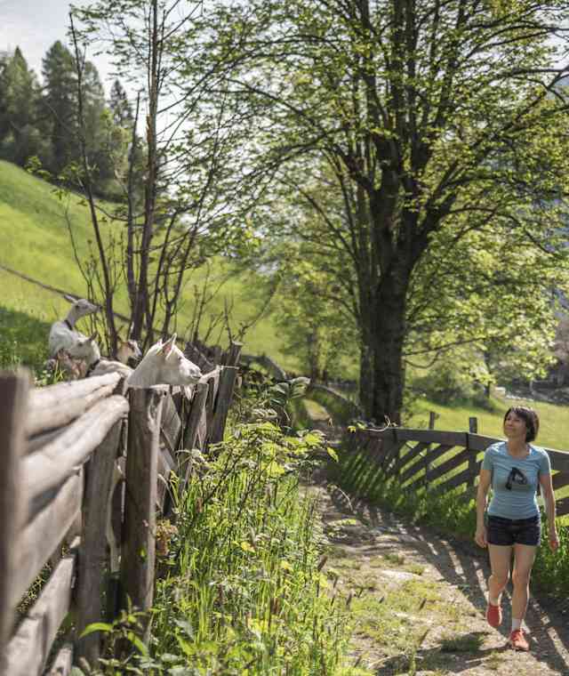 Unterwegs am Ultner Höfeweg