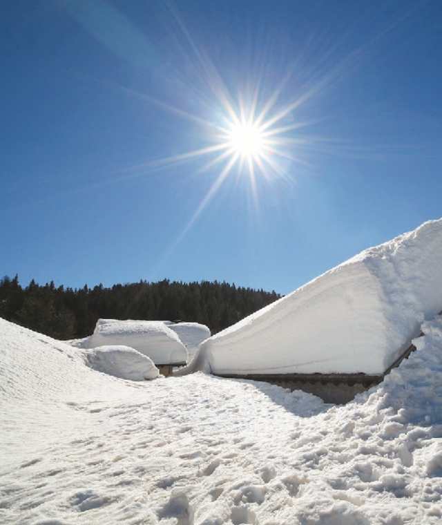 Laureinalm