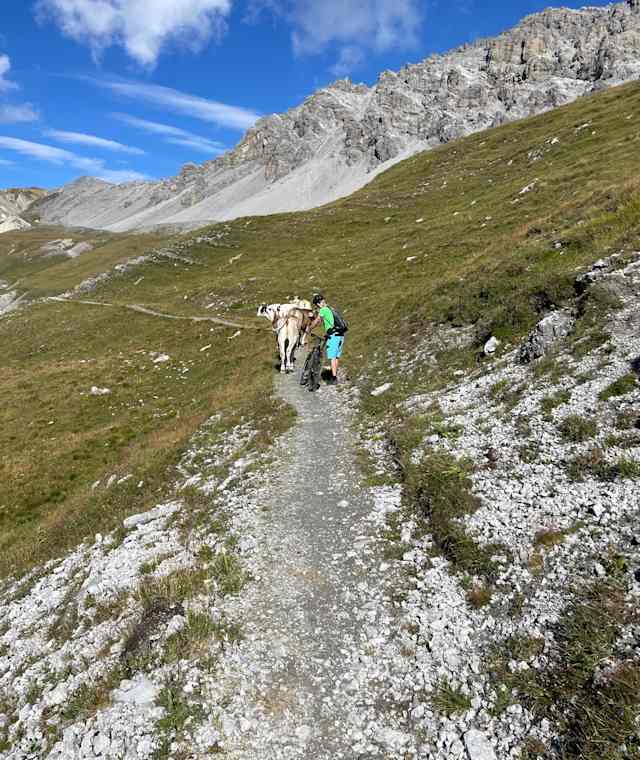 Vom Umbrailpass in Richtung Bocchetta di Forcola