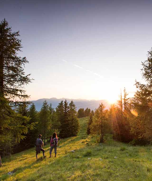 Unterwegs auf dem weichen Almboden der Hochrindl