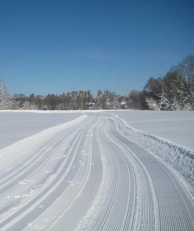 Langlaufen Verbindungsloipe Bad Kohlgrub - Saulgrub 