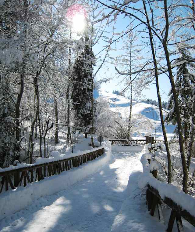 Verschneiter Weg zur Lourdes Grotte