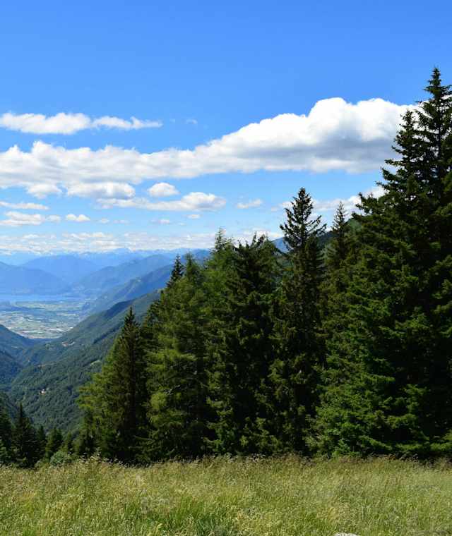 Die Via del ferro führt durch das idyllilsche Valle Morobbia.