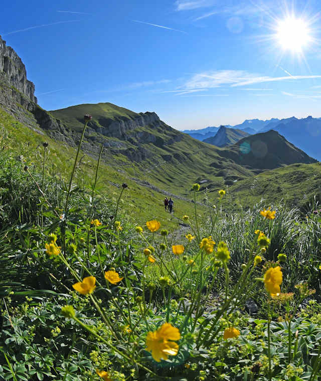 Isenthal -Klewenalp, kurz vor Hinterjochli