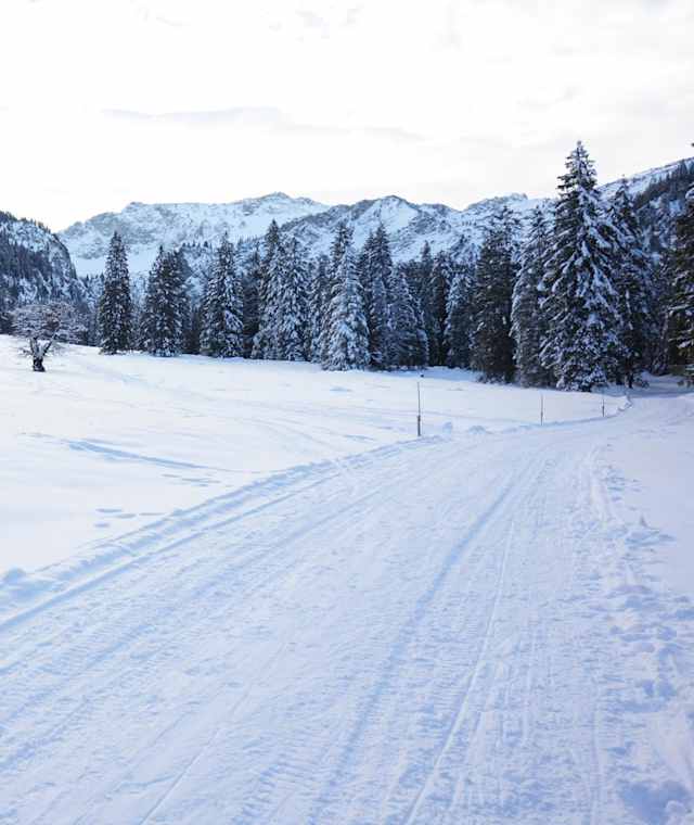 Weg zur Vilser Alm