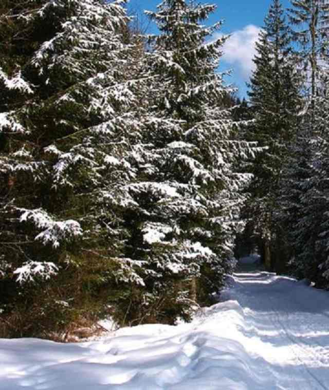 Aus dem Gsiesertal auf die Kradorfer Alm