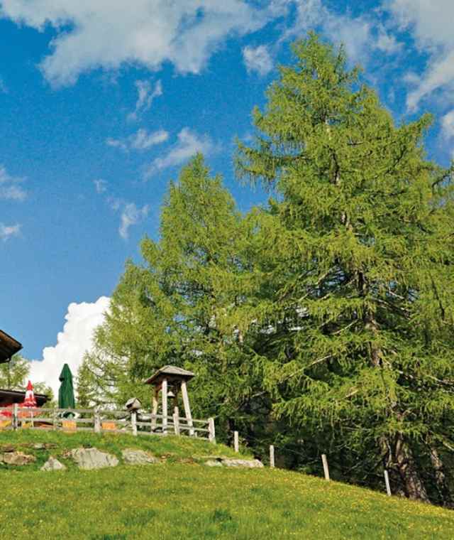 1) Das Sadnighaus, eine gelungene Mischung aus Haubenlokal und Schutzhütte.