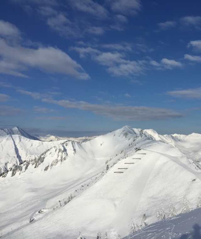 Blick ins Schwarzwassertal mit Steinmandl