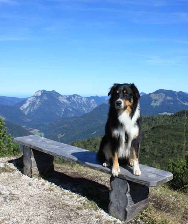 Von der Hindenburghütte über die Felsenquelle