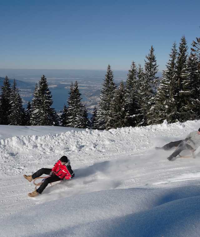 Rasante Rodelpartie von Neureuth runter zum Tegernsee