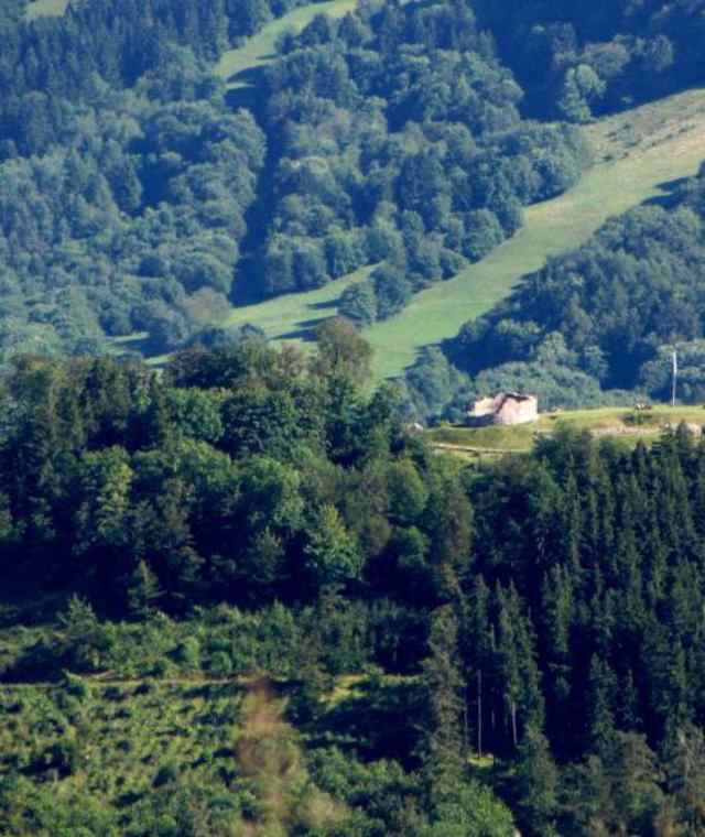Von der Würzburger Bergbund Hütte zur Ruine Osterburg