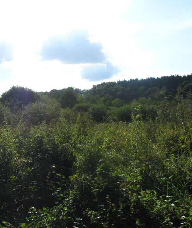 Von Dorf zu Dorf im Almtal