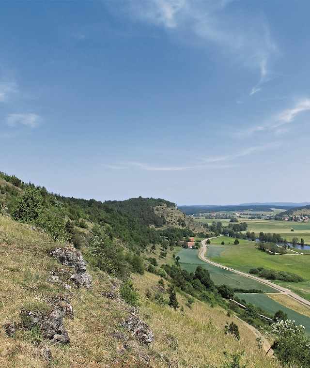 Burgruine Kallmünz