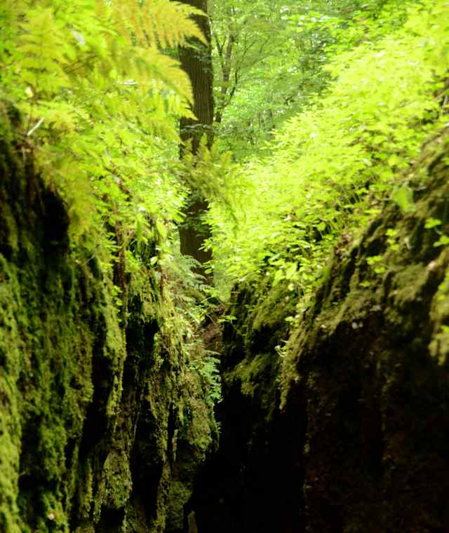 Die Drachenschlucht