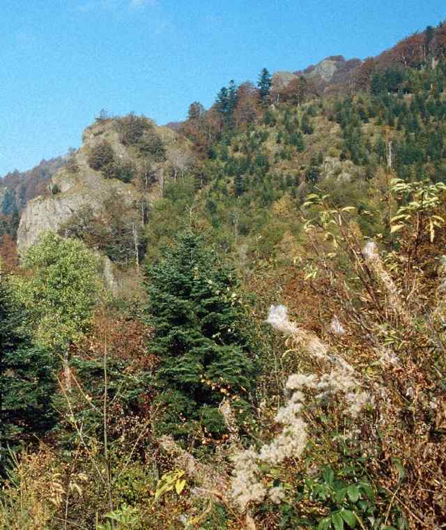 Hirtzenstein