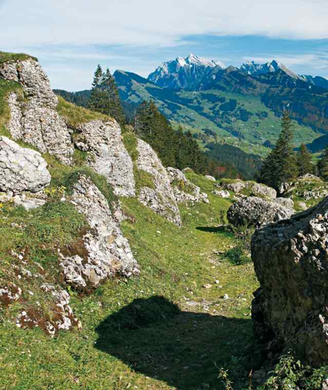 Typische Konglomeratsfelsen säumen den Weg; hinten der Alpstein.