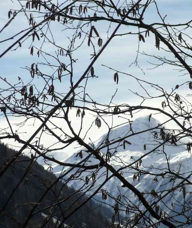 Schneebedeckte Berge im Raurisertal
