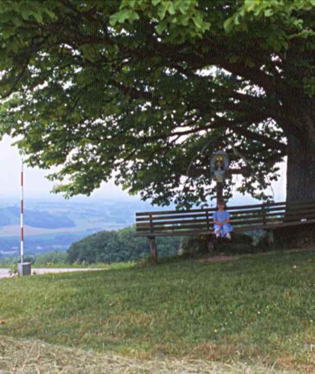 Von Steinbach an der Steyr auf den Polsterer Kogel