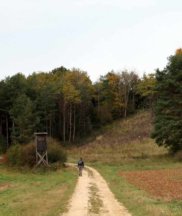 2. Hochsitz