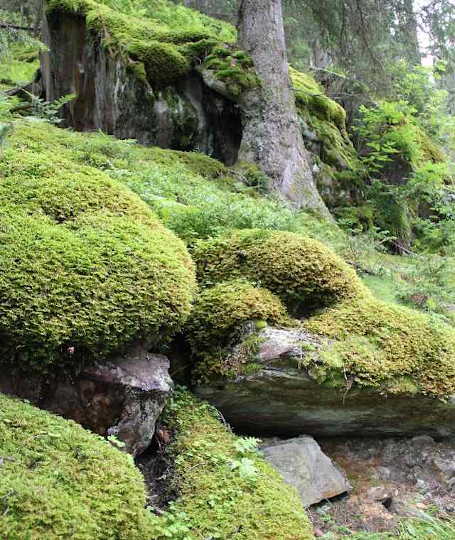 Von Vals zum Zerfreilasee