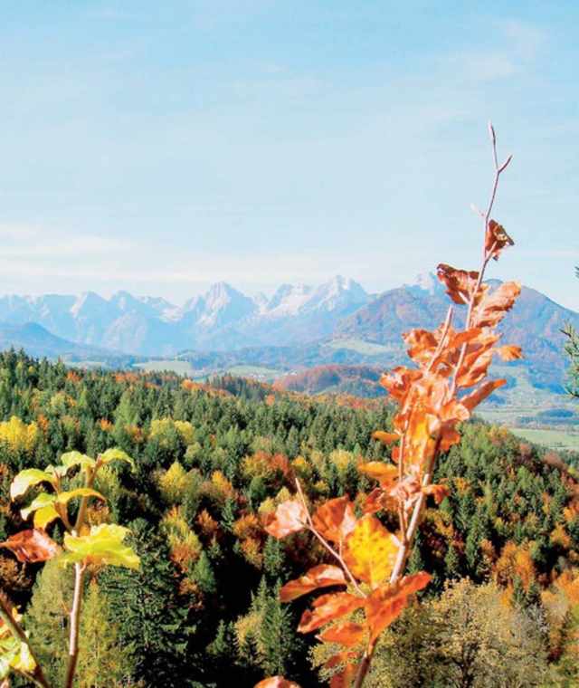 Symbolbild Wandern