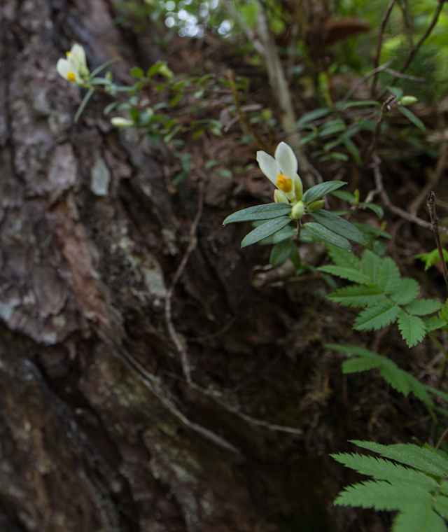 In der Vorderkaserklamm