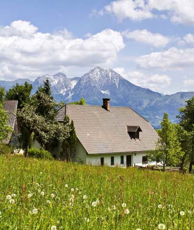 Am Berg in der Blumenwiese