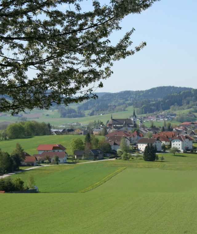 Waldsteig