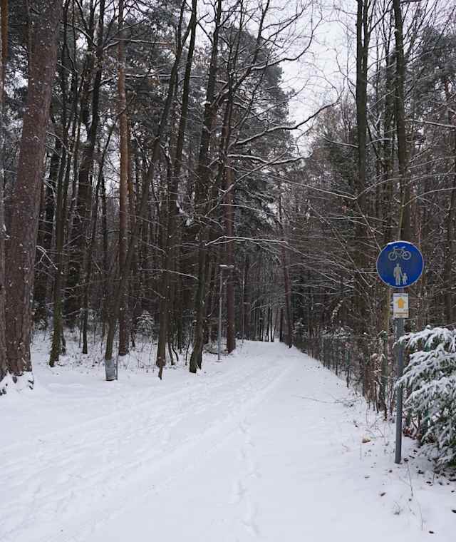Waldweg vom Schloss in den Ort 