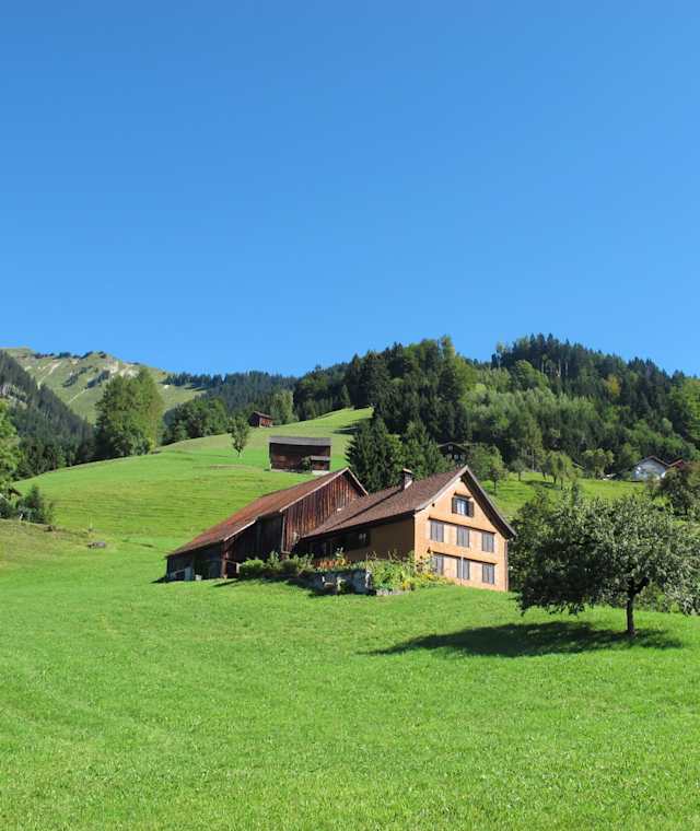 Altes Haus in Thüringerberg
