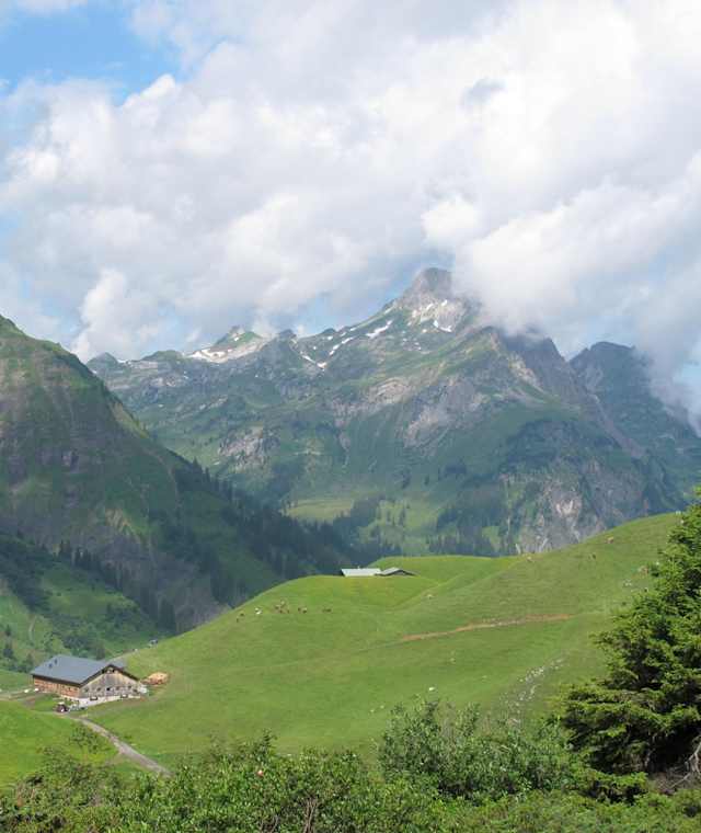 Die Batzenalpe