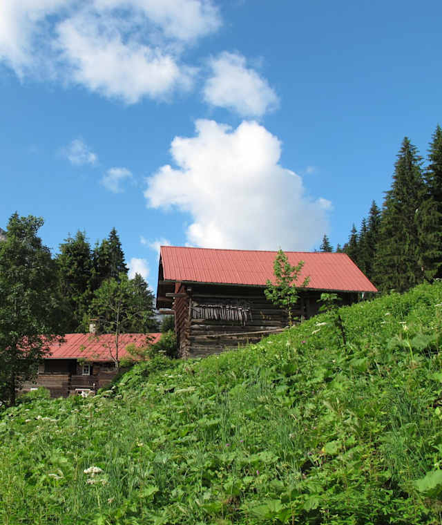 Altes Walserhaus mit Stall