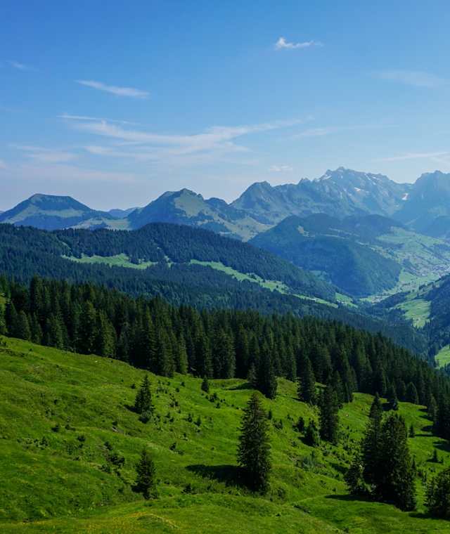 Toggenburger Höhenweg Etappe 2 Blick Säntis