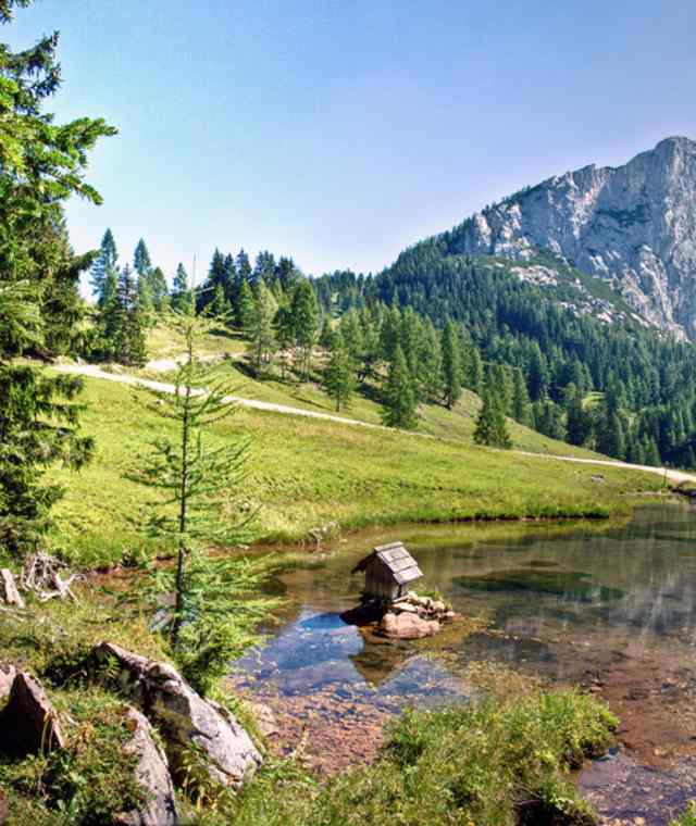 Teichlboden - Wurzeralm mit Blick auf Stubwies