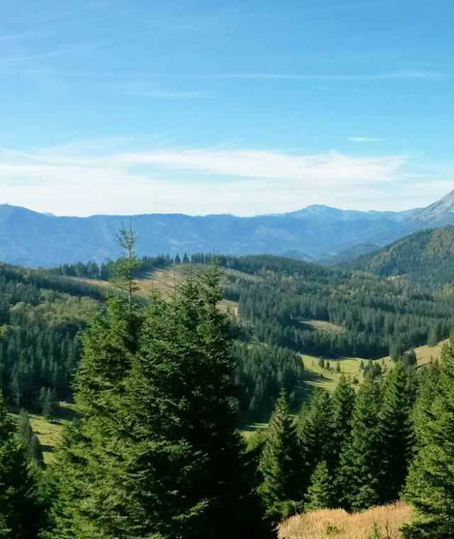 Blick vom Hennesteck