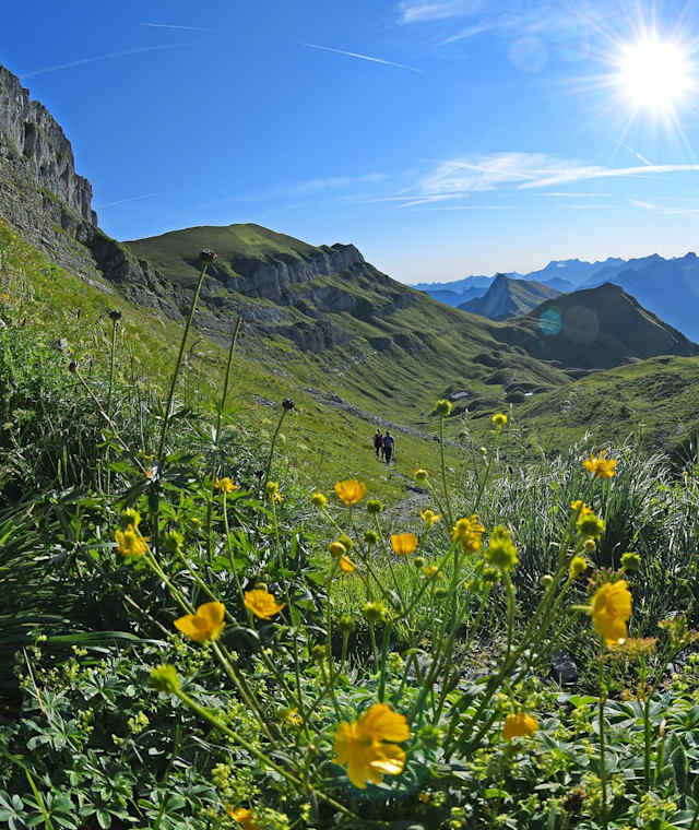 Alpenwanderung