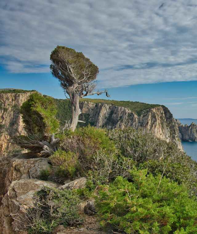 Hoch über der Küste verläuft die Wanderung
