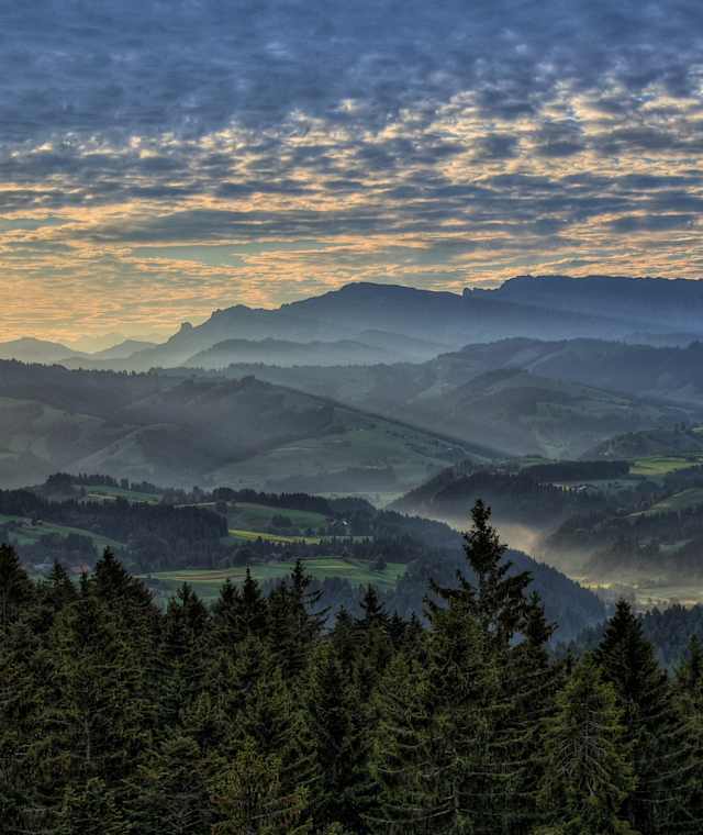 Nebel Aussicht