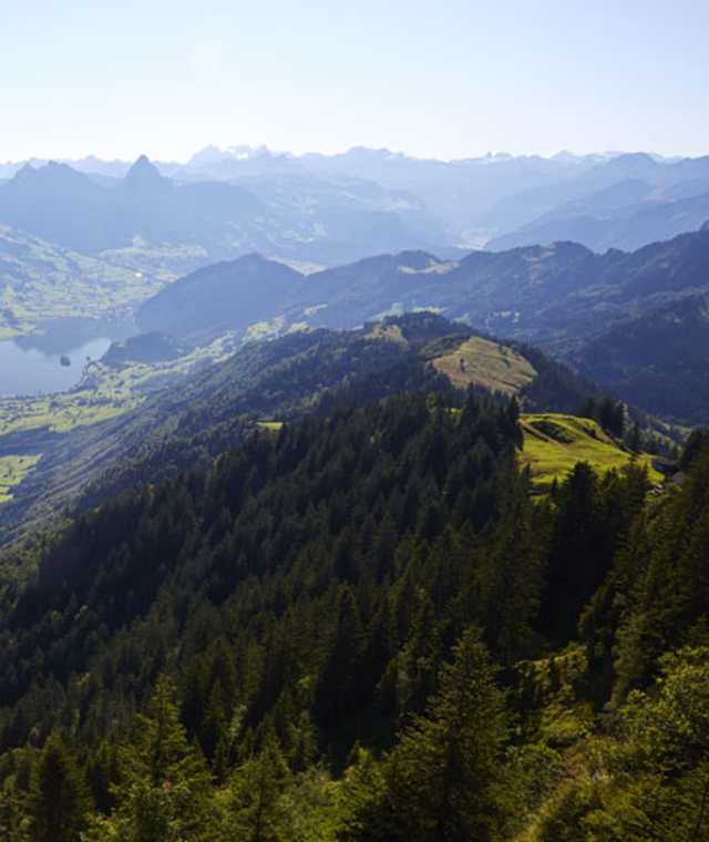 Aussicht von der Rigi