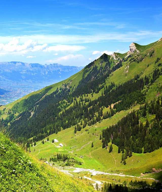 Lawenatal