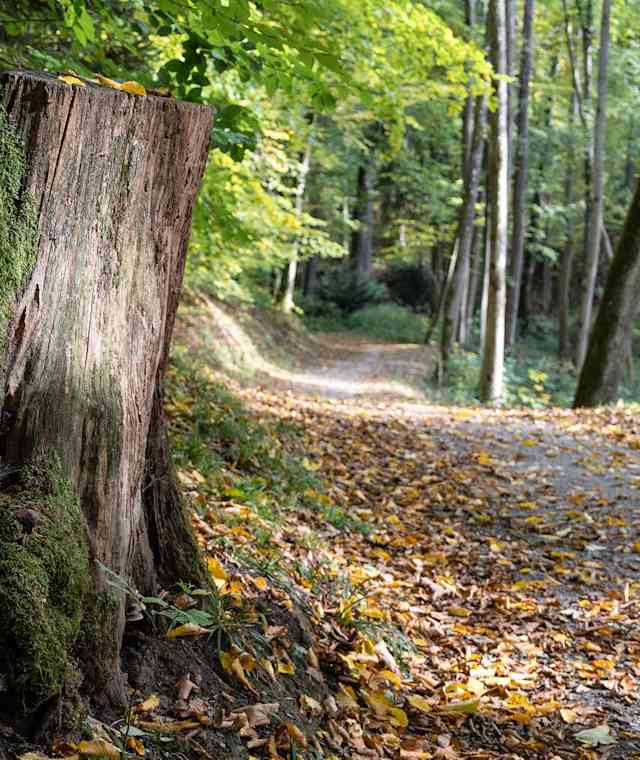 Wanderung im Kaskadental | Bad Kissingen