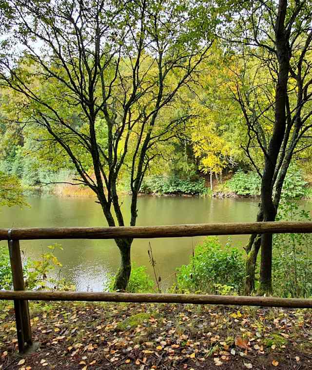 Basaltsee Rhön
