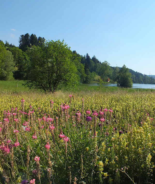 Industrie- und Naturweg
