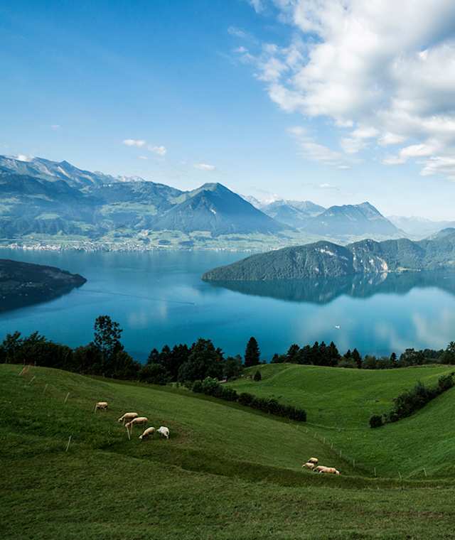 Aussicht über den Vierwaldstädter See