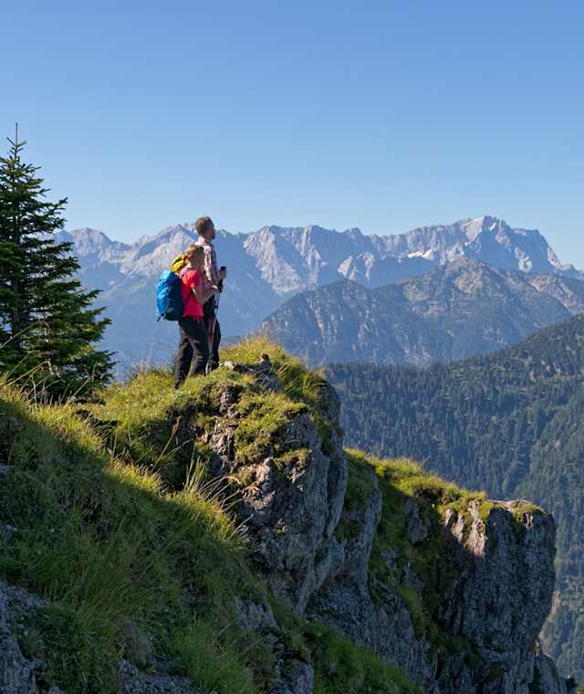 Schartenköpfe
